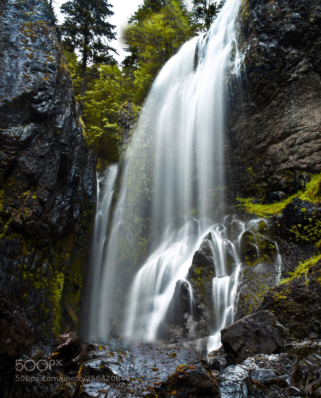 Nikon D7200 sample photo. Henline fall photography