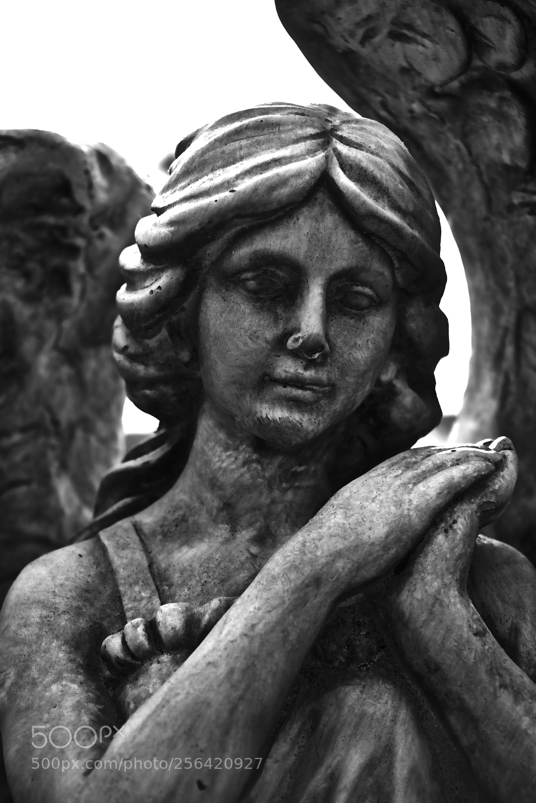 Canon EOS 80D sample photo. Black and white angel photography