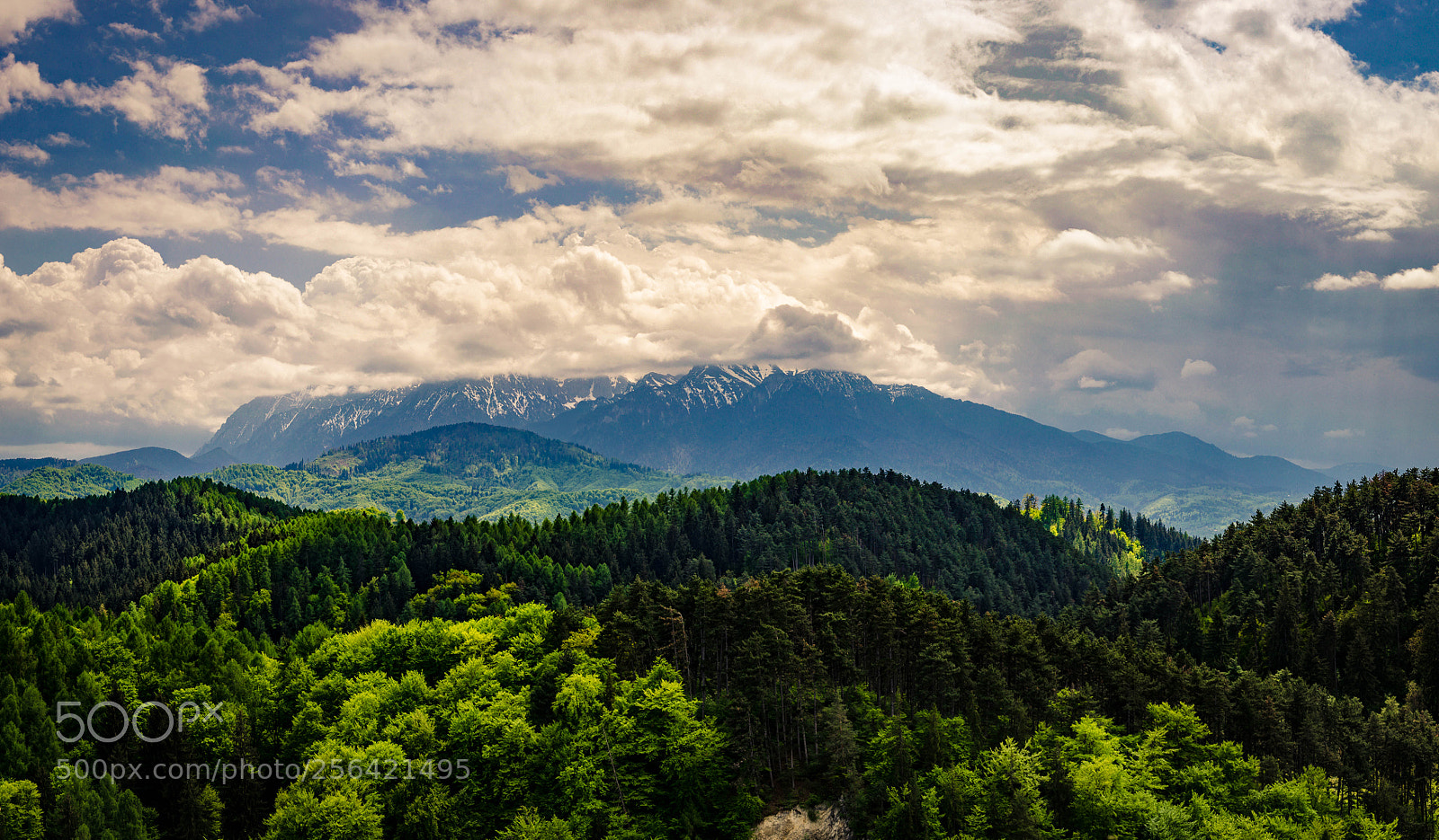 Nikon D5100 sample photo. Forest, mountains and clouds photography