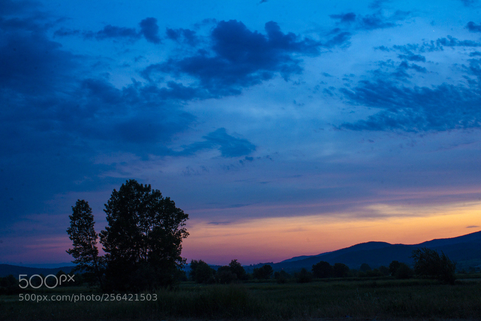 Canon EOS 60D sample photo. Sky sun photography