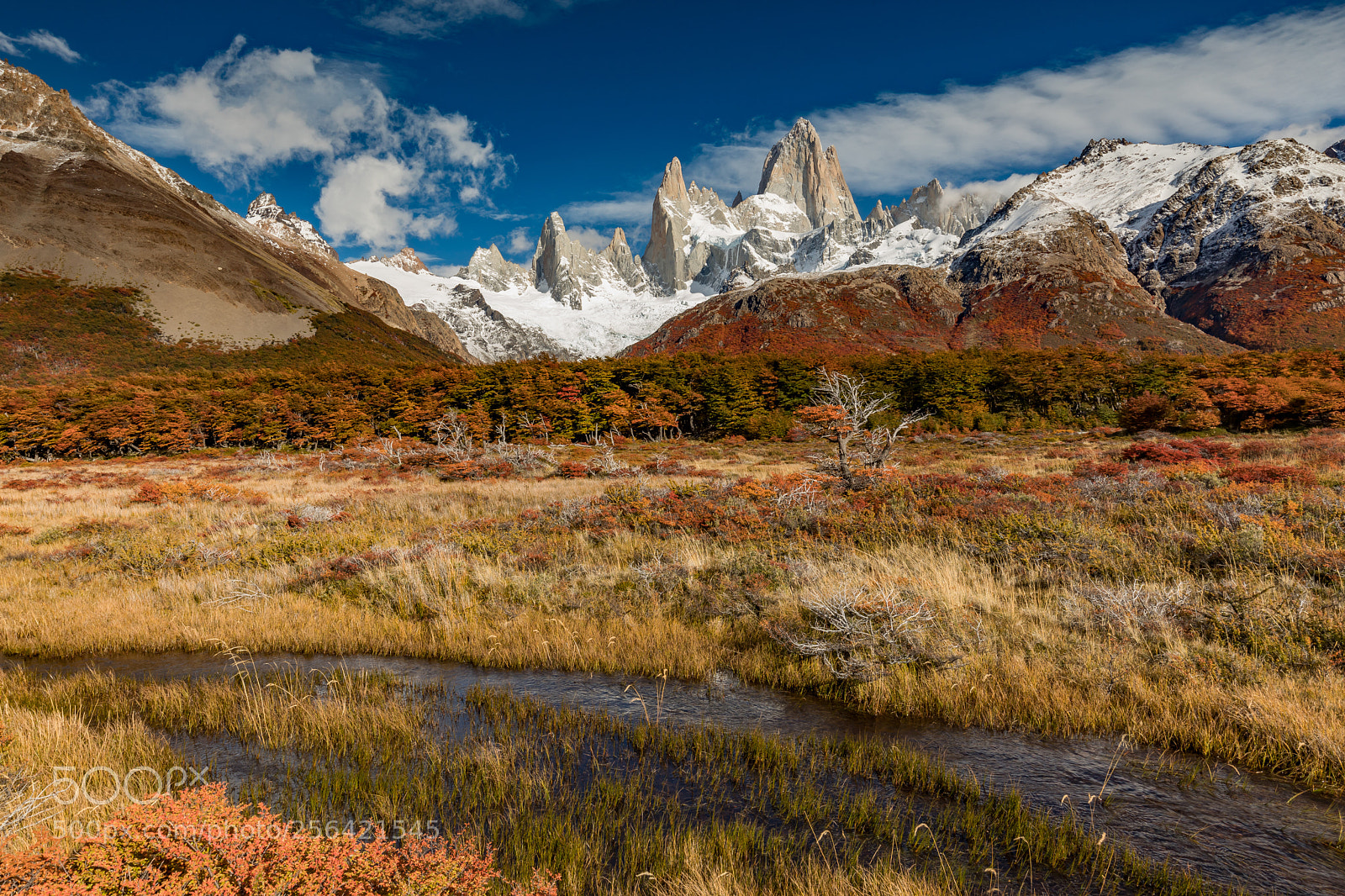 Canon EOS 5D Mark IV sample photo. Fitz roy photography