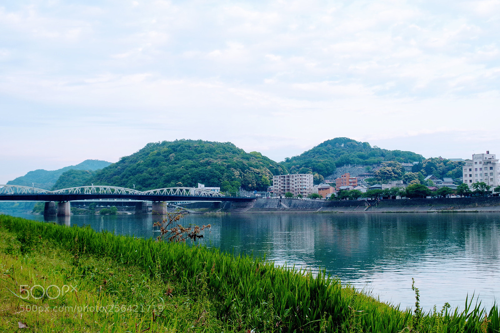 Pentax K-S2 sample photo. Untitled photography