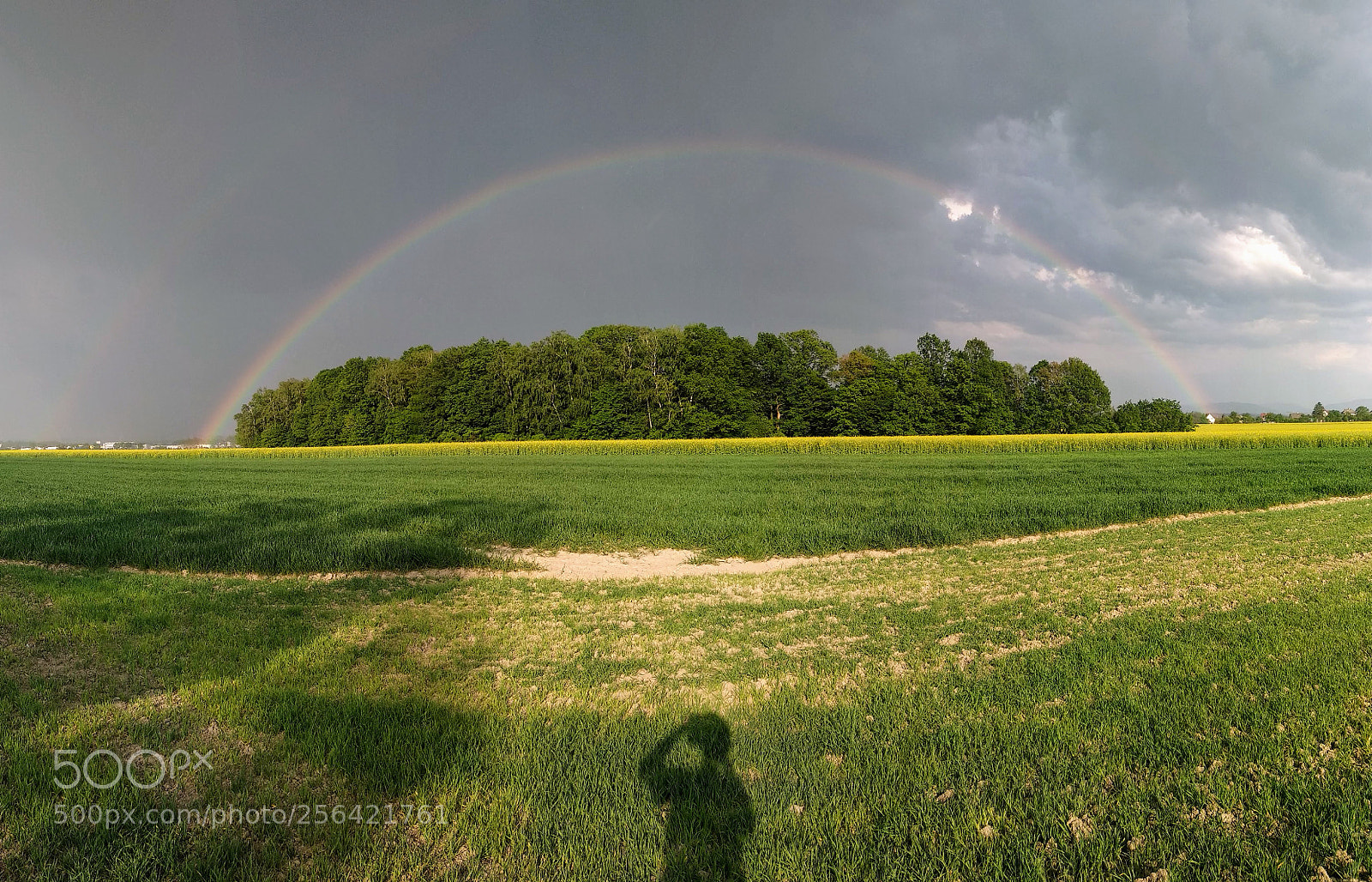 Xiaomi Mi A1 sample photo. Rainbow forest photography