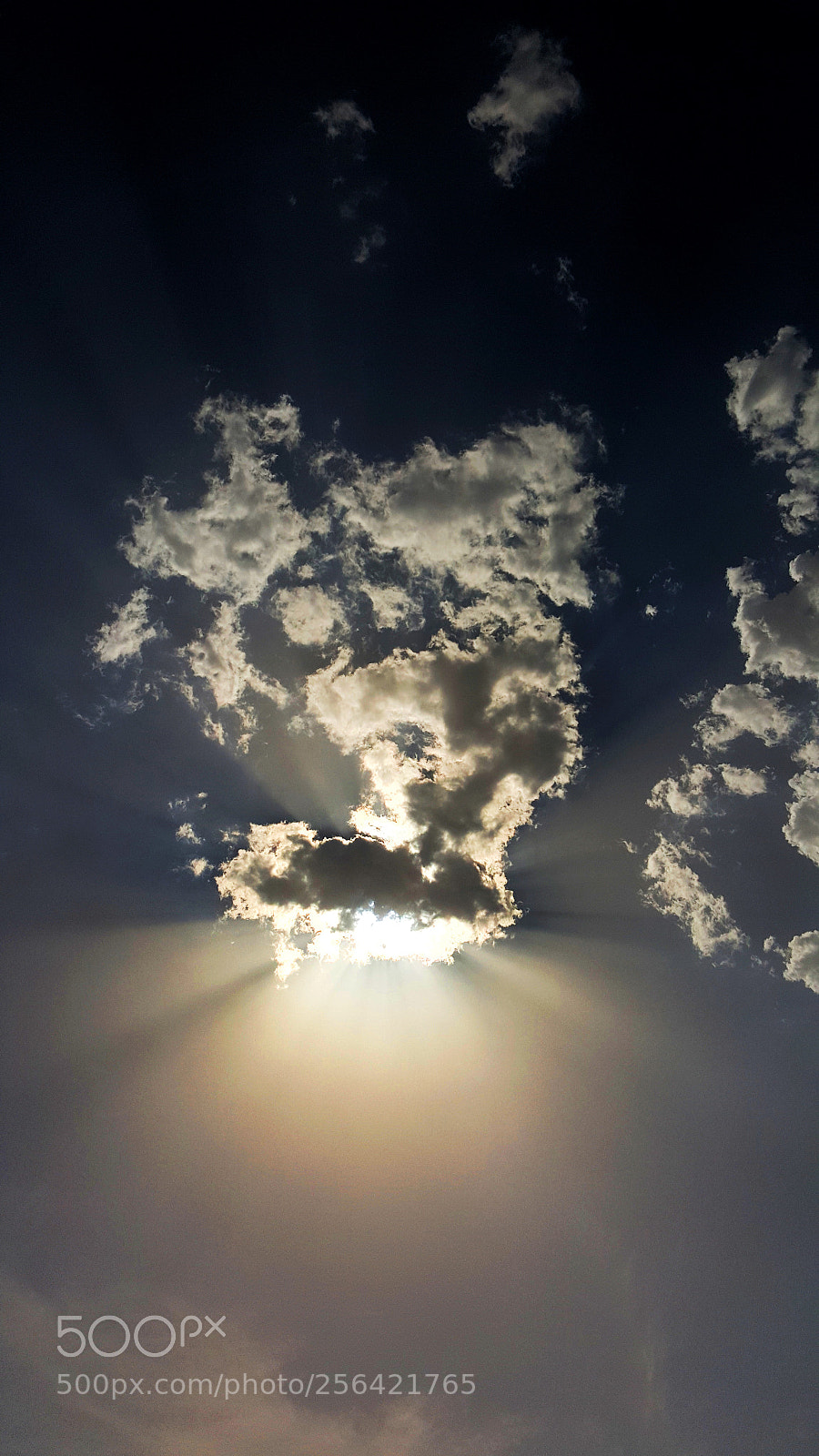Samsung GALAXY S6 edge sample photo. Sun afternoon photography