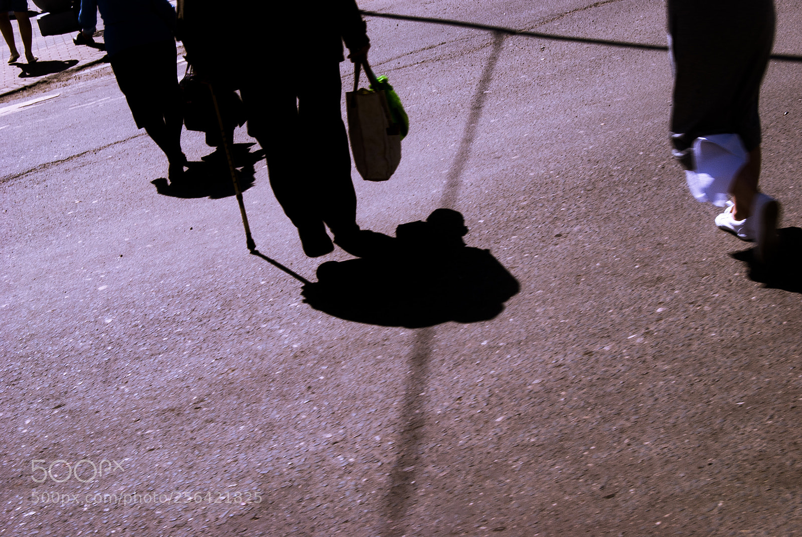 Nikon D3000 sample photo. Variety photography