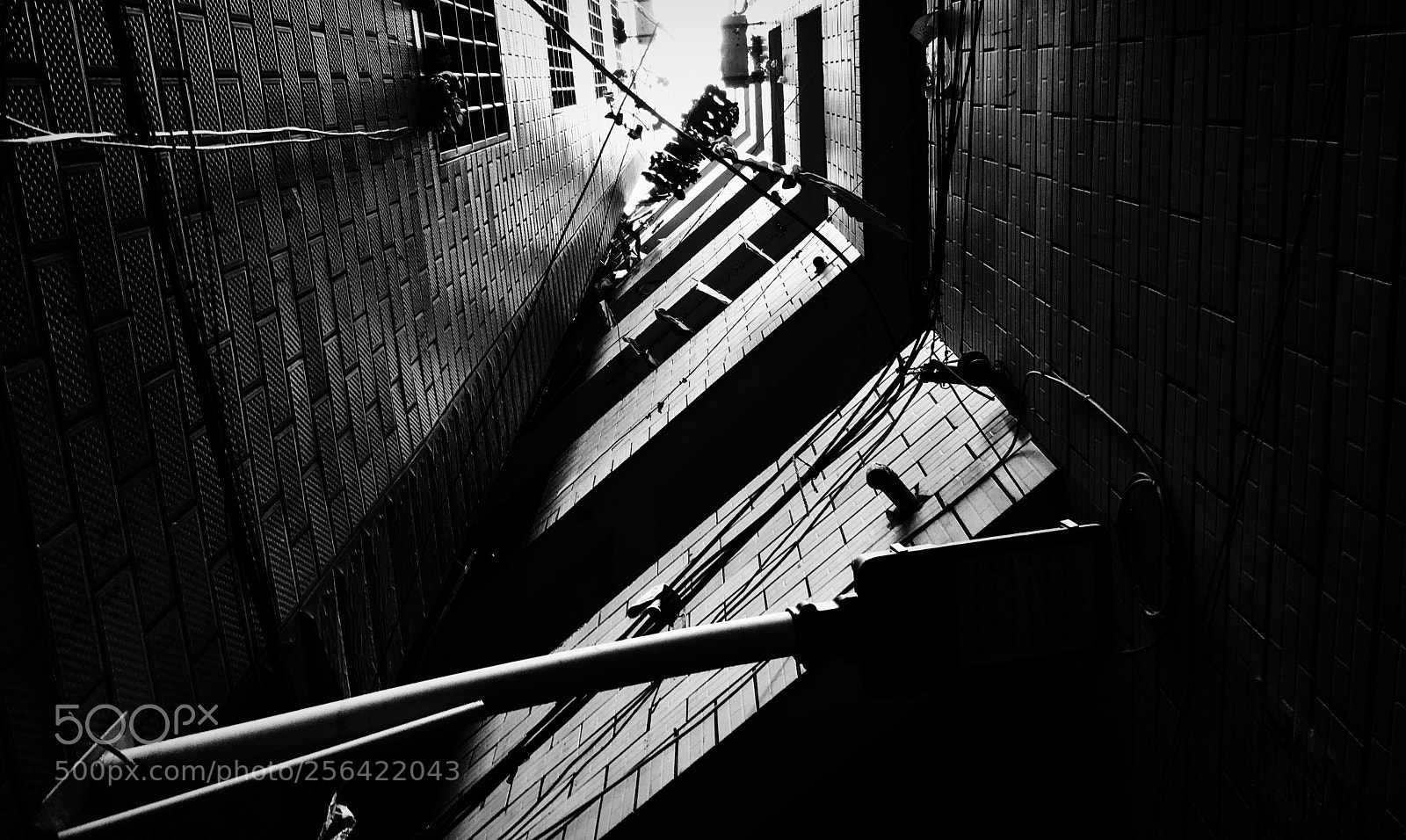 Apple iPhone 6s sample photo. 5.4.8 photography
