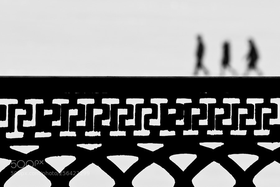 Nikon D200 sample photo. *** photography