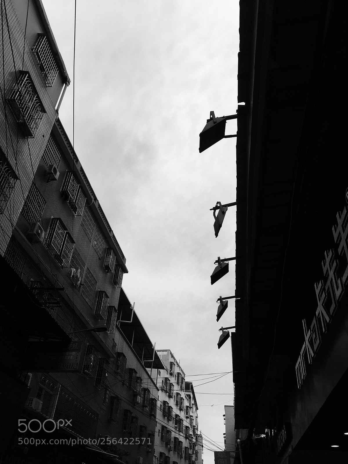 Apple iPhone 6s sample photo. 5.4.9 photography