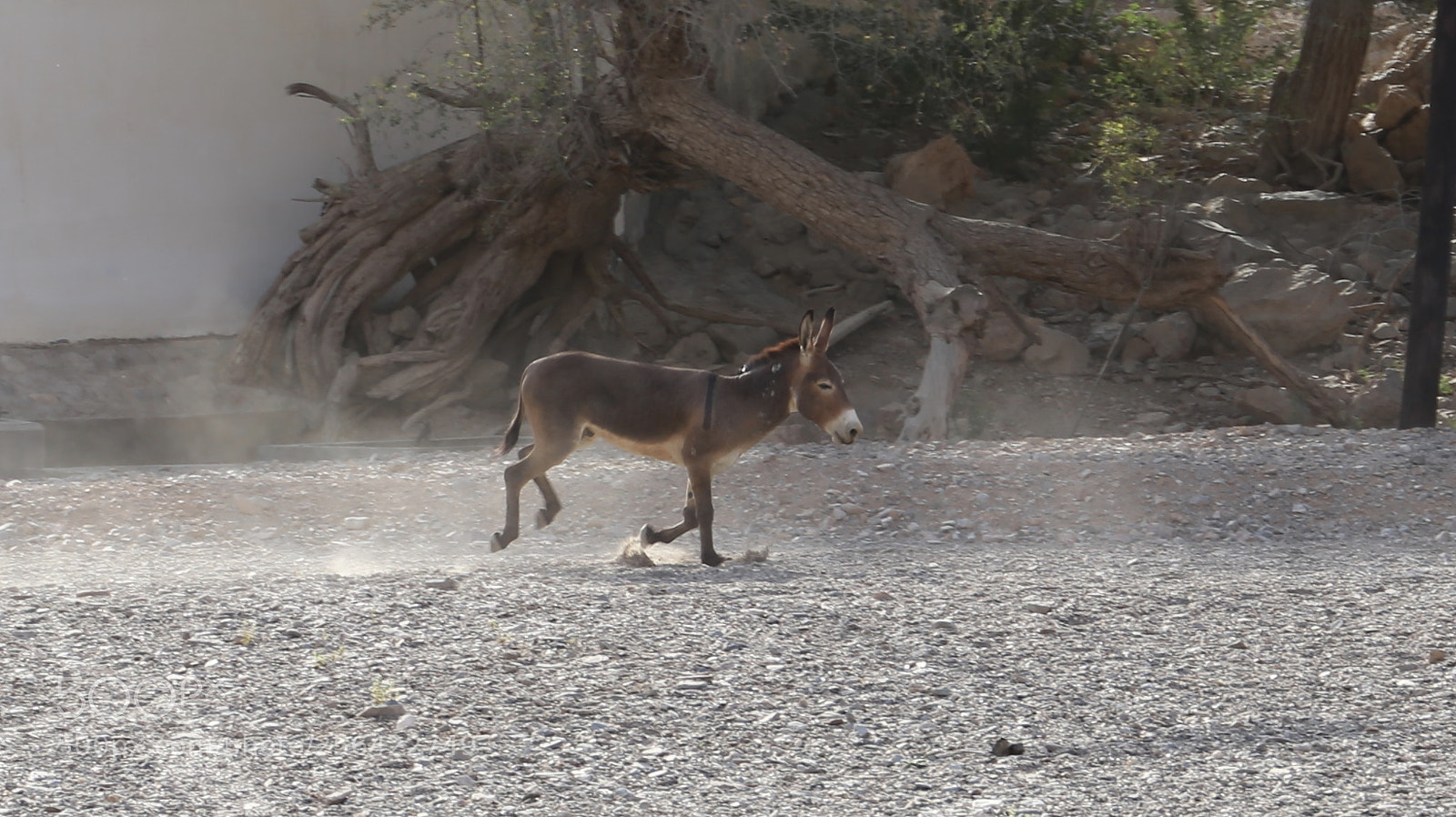 Canon EOS 6D sample photo. Warm up photography