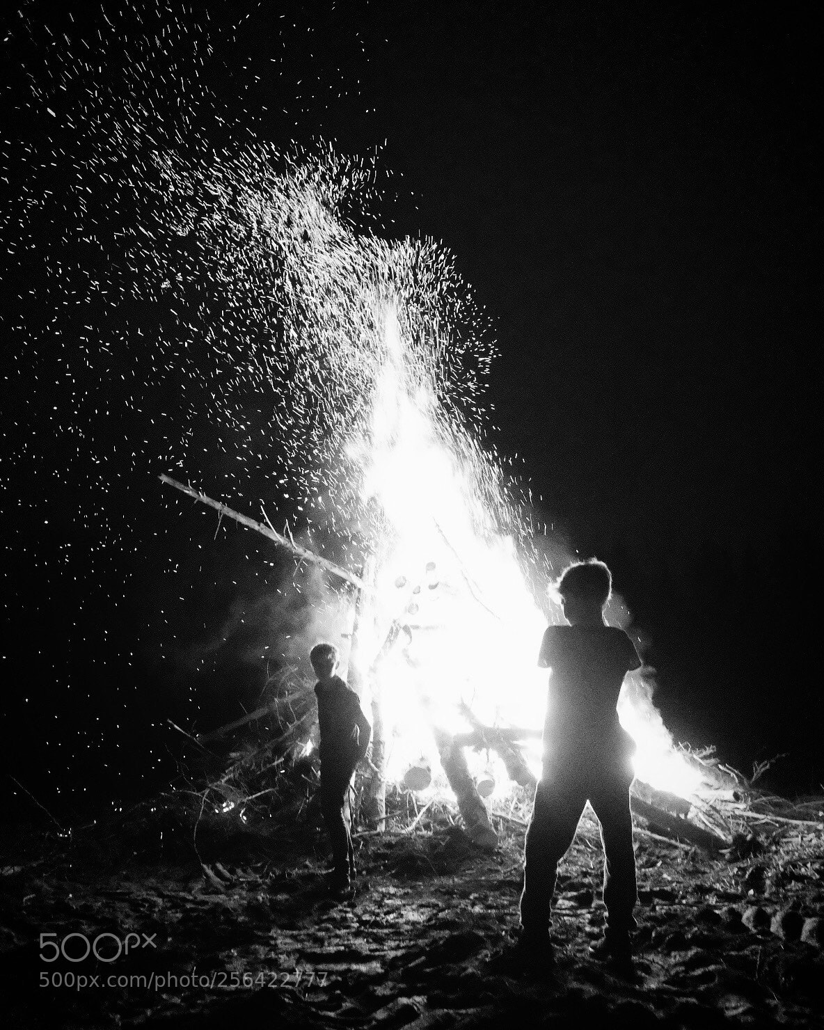 Fujifilm X-T2 sample photo. Untitled photography