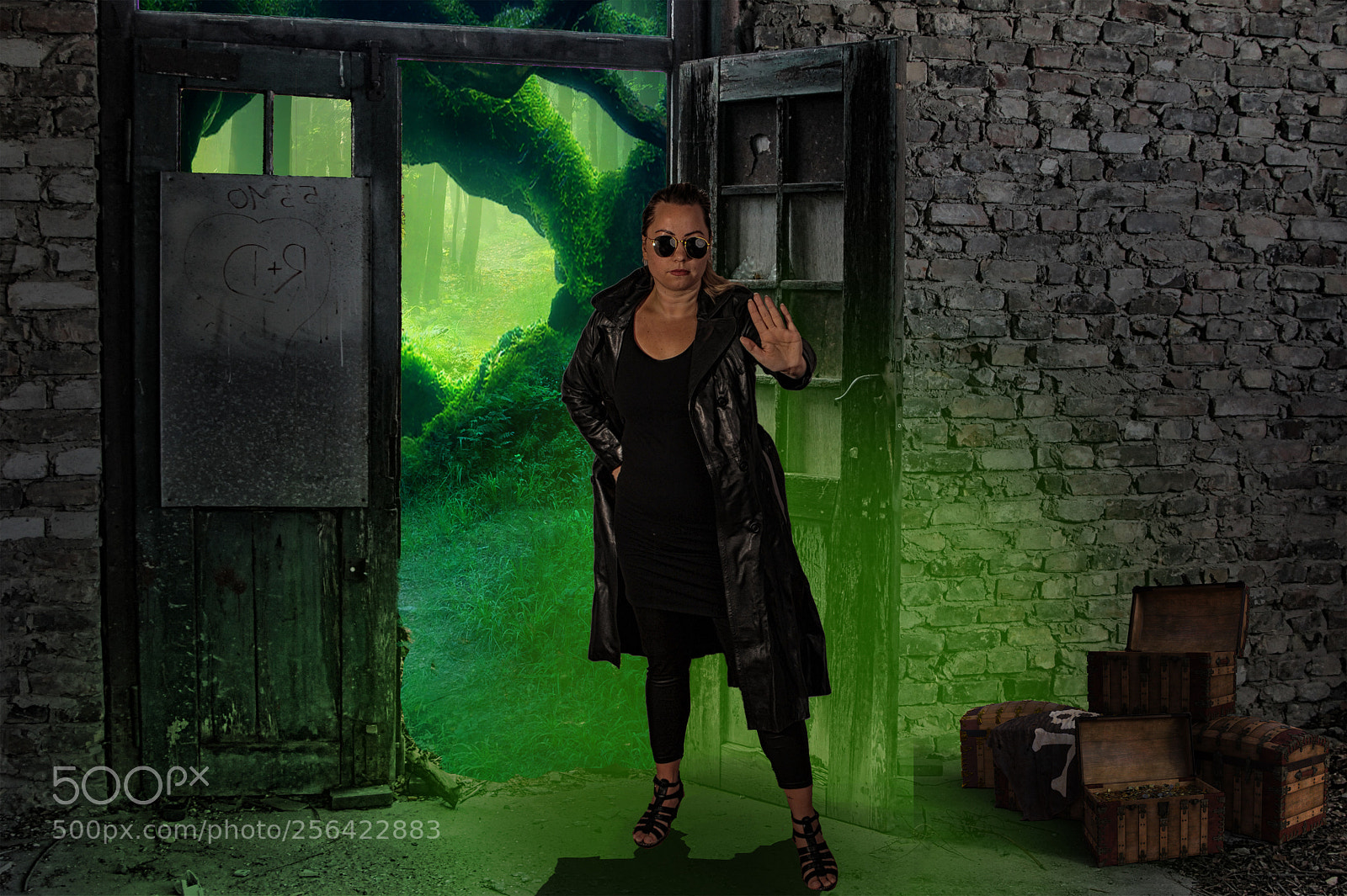 Nikon D700 sample photo. Green light photography