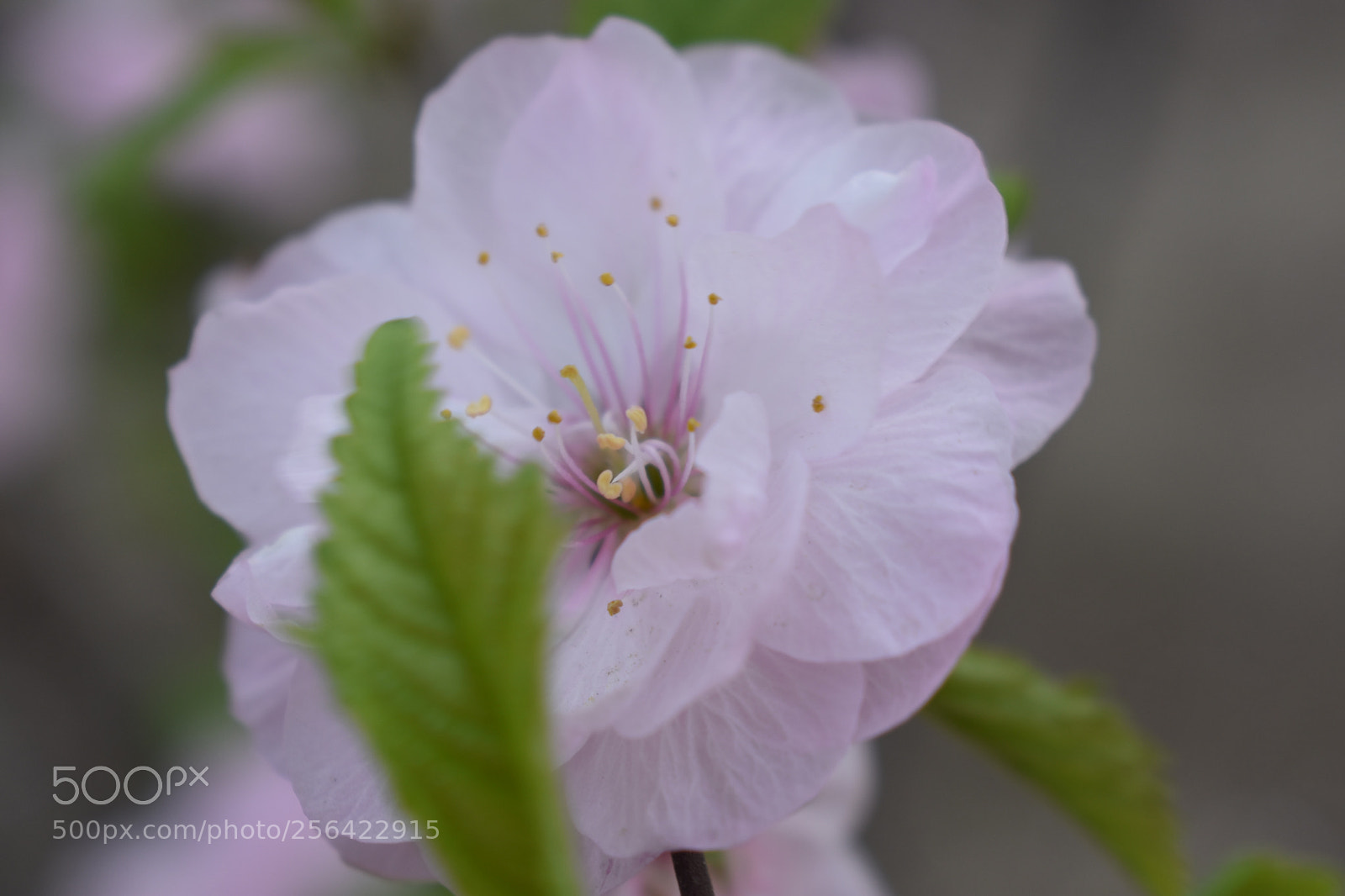 Nikon D3400 sample photo. Untitled photography