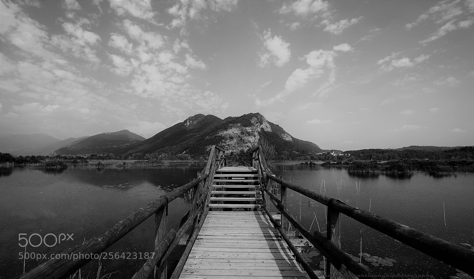 Canon EOS 7D Mark II sample photo. Torbiere del sebino photography