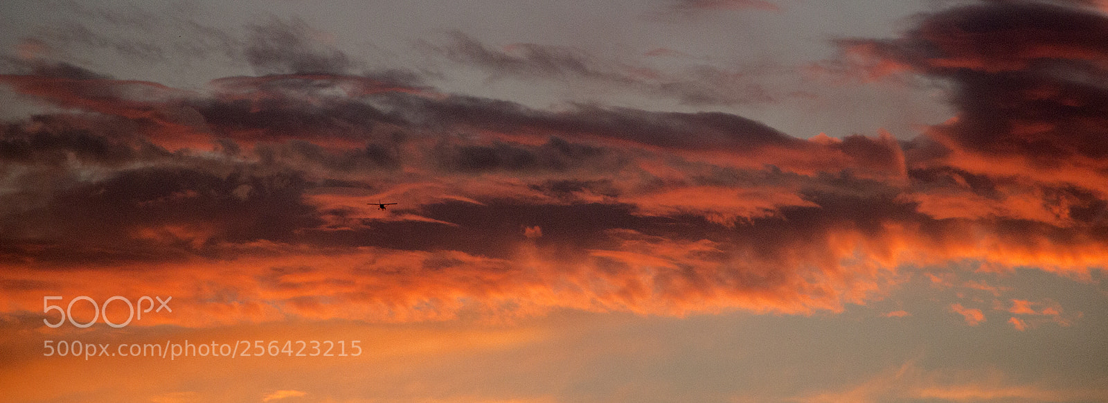 Canon EOS 100D (EOS Rebel SL1 / EOS Kiss X7) sample photo. Dreams of icarus photography