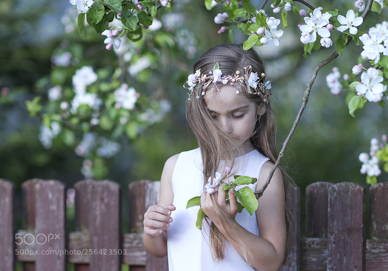 Nikon D750 sample photo. Blossoms girl photography