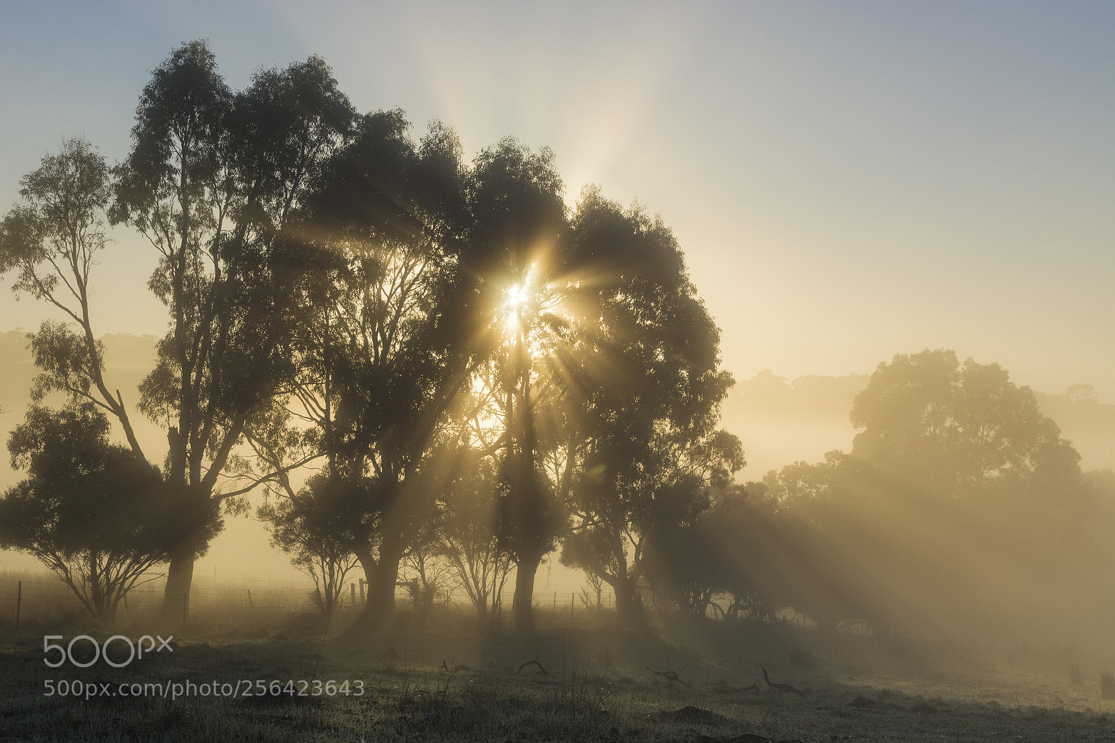 Nikon D7100 sample photo. Warming rays of light photography
