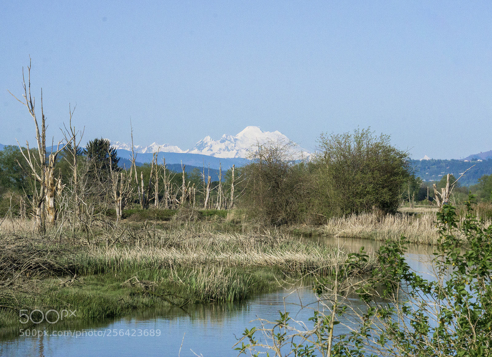 Sony a6000 sample photo. Restoring balance photography