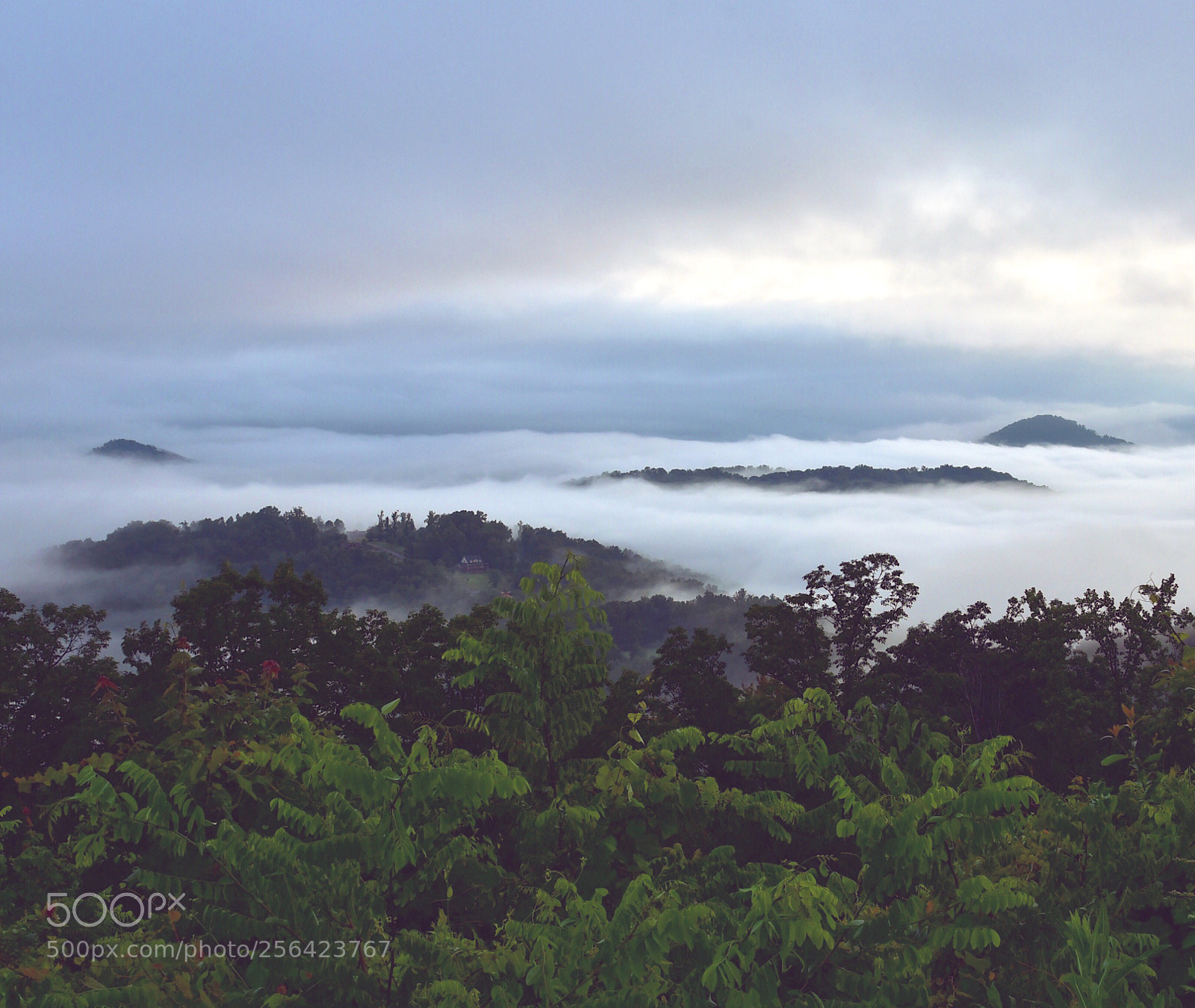 Nikon D750 sample photo. Cloud inversion photography