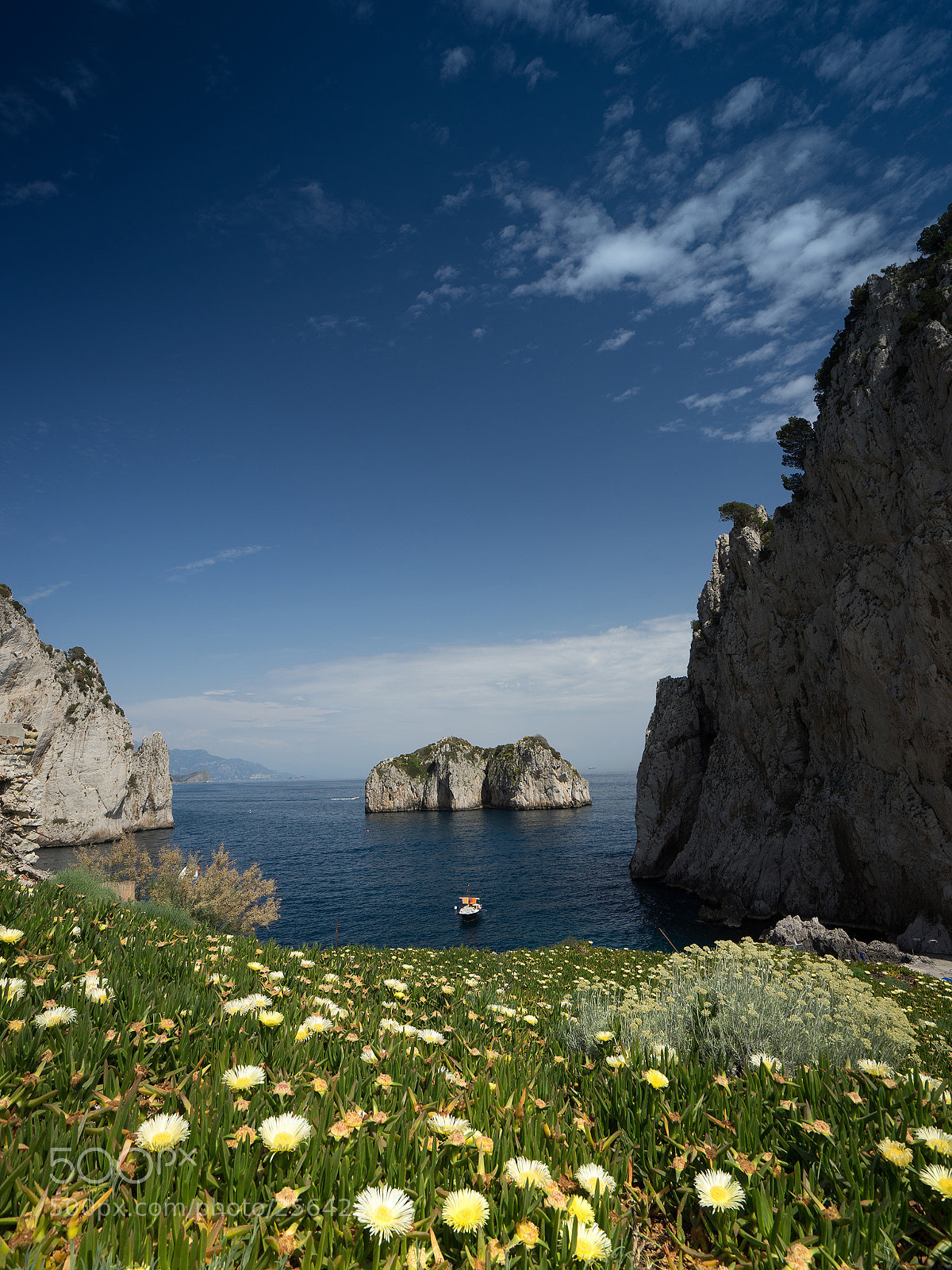 Sony a7 II sample photo. Px capri con fiori photography
