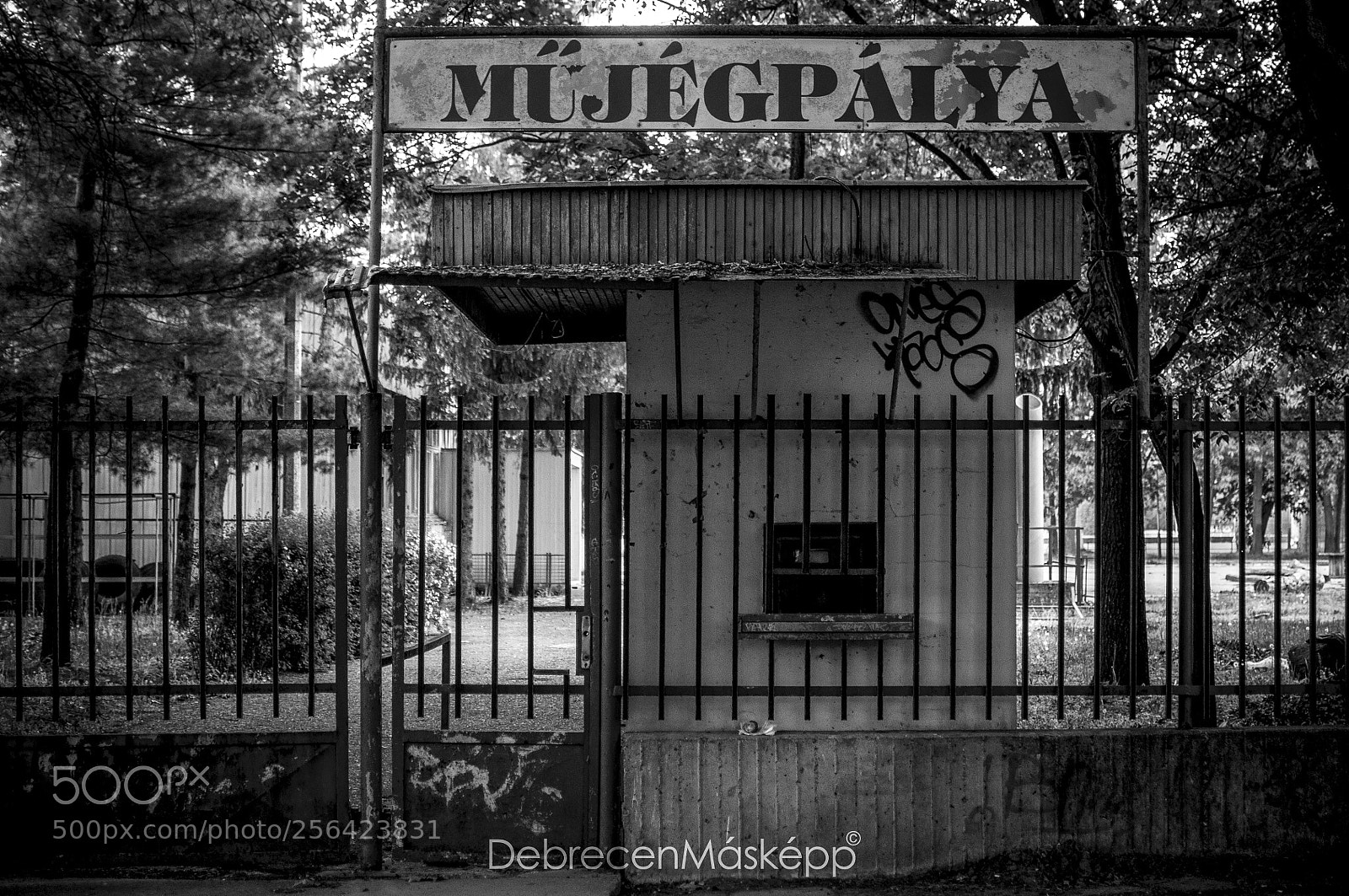 Nikon D5000 sample photo. Debrecen-hungary photography