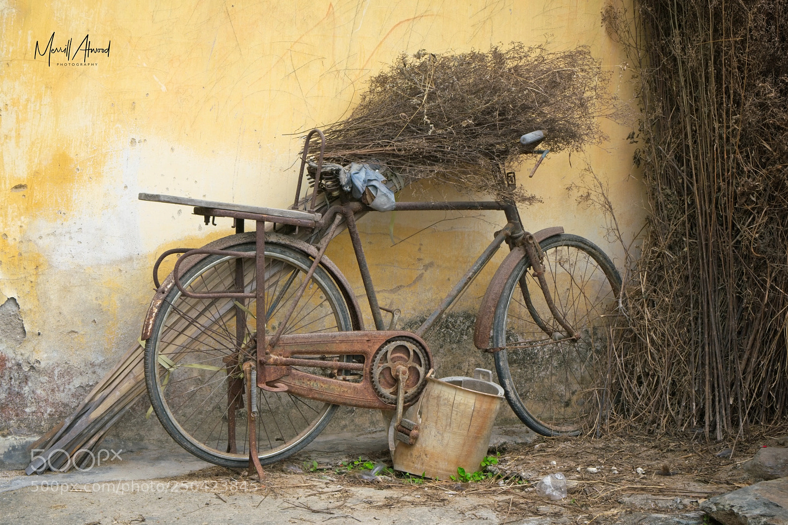 Sony a7R II sample photo. Old bike - kaiping photography