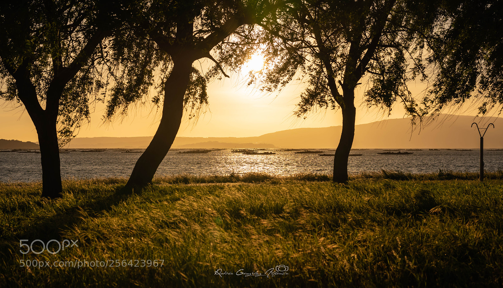 Nikon D810 sample photo. Spring photography