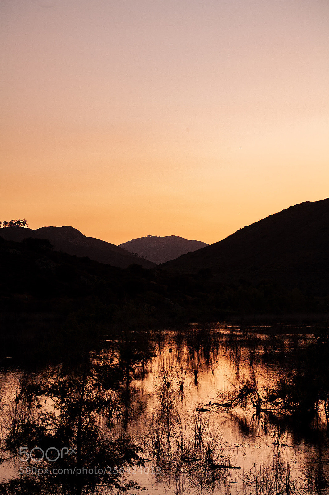 Canon EOS 5D sample photo. Untitled photography