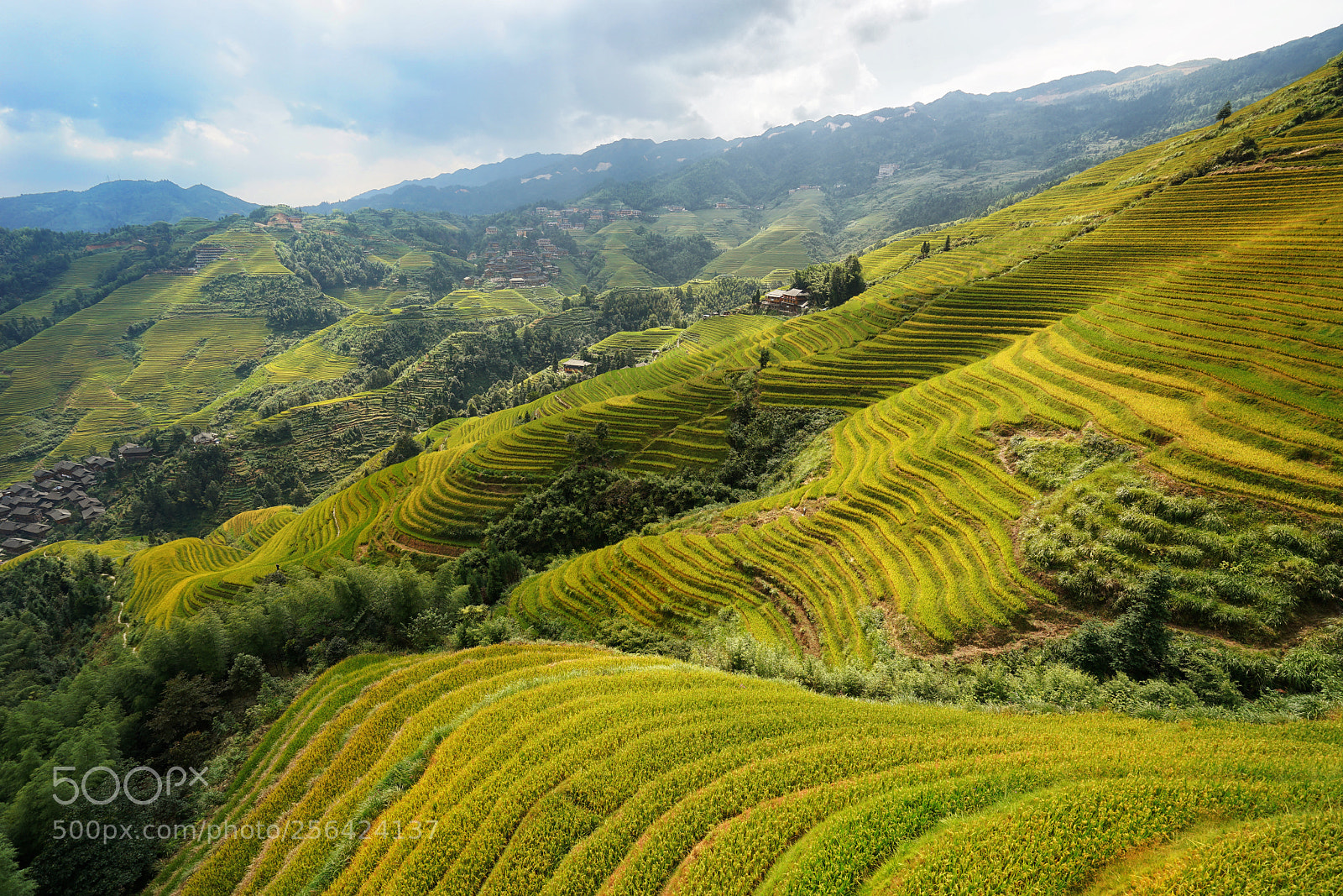 Sony a7 II sample photo. China rice terraces photography