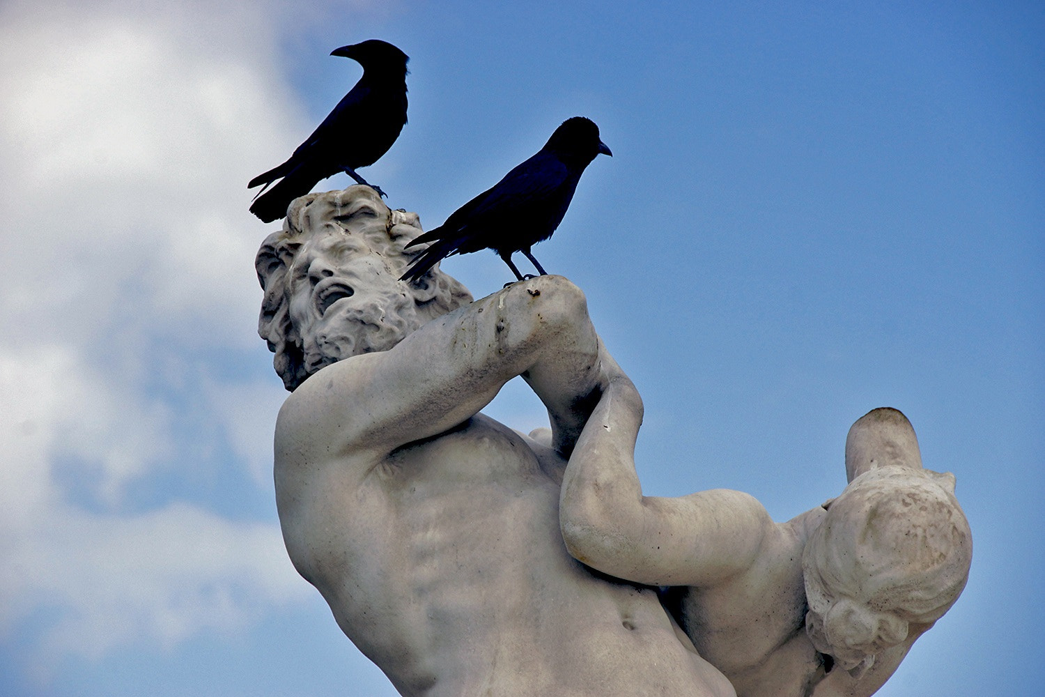 Sony SLT-A65 (SLT-A65V) sample photo. Ravens.tuileries photography