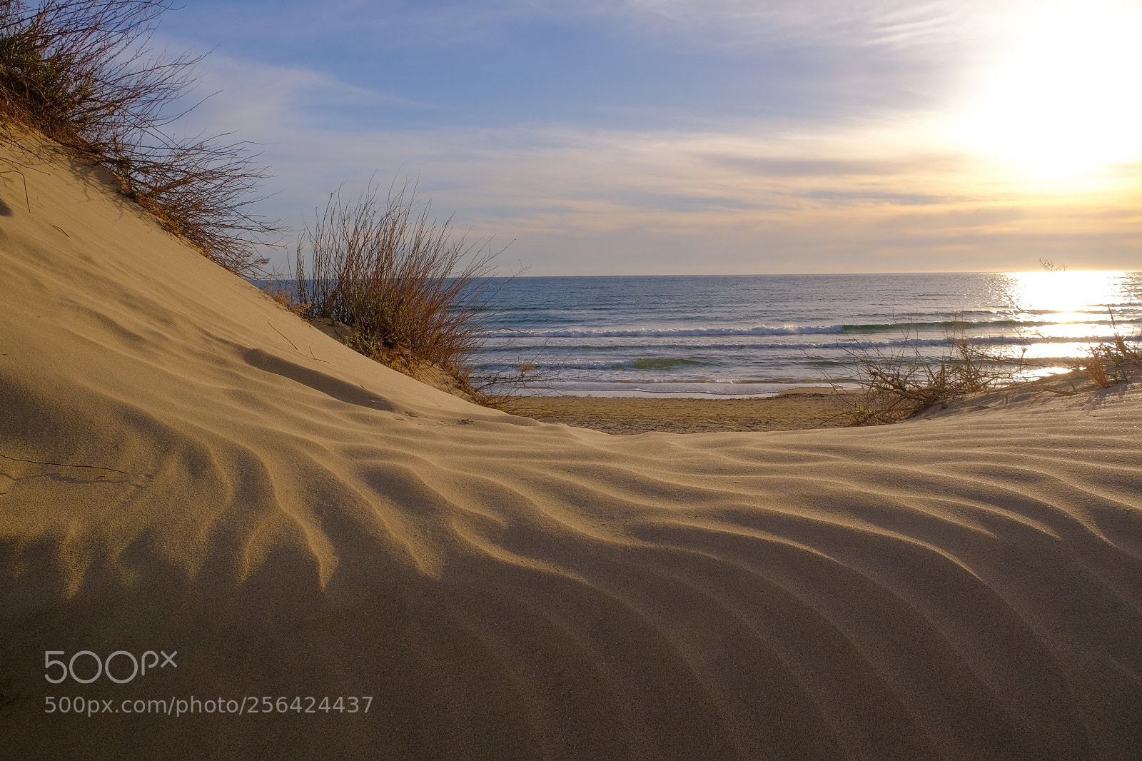 Fujifilm X-T20 sample photo. Golden sand photography