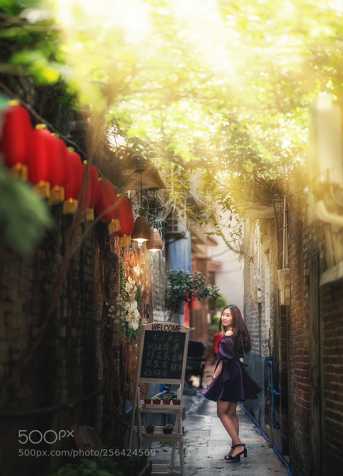 Sony a7R III sample photo. 绿茵小道 photography