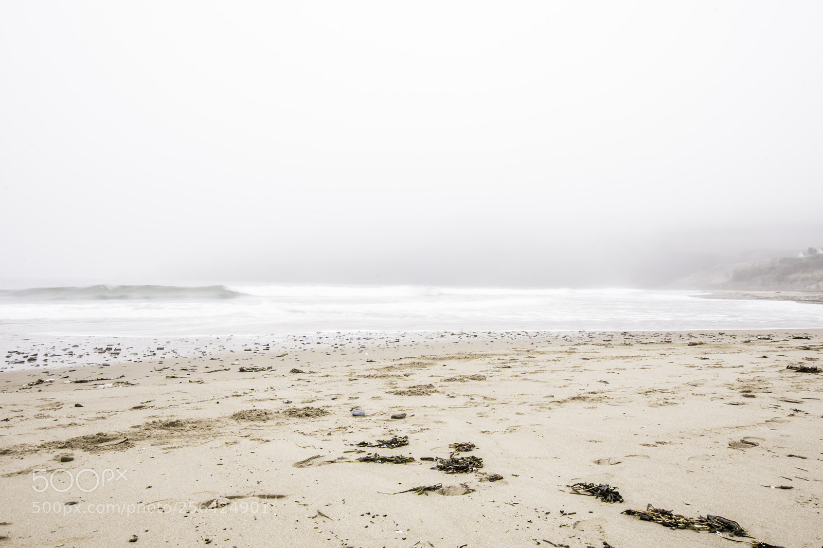 Nikon D7200 sample photo. Mist over sandy beach photography