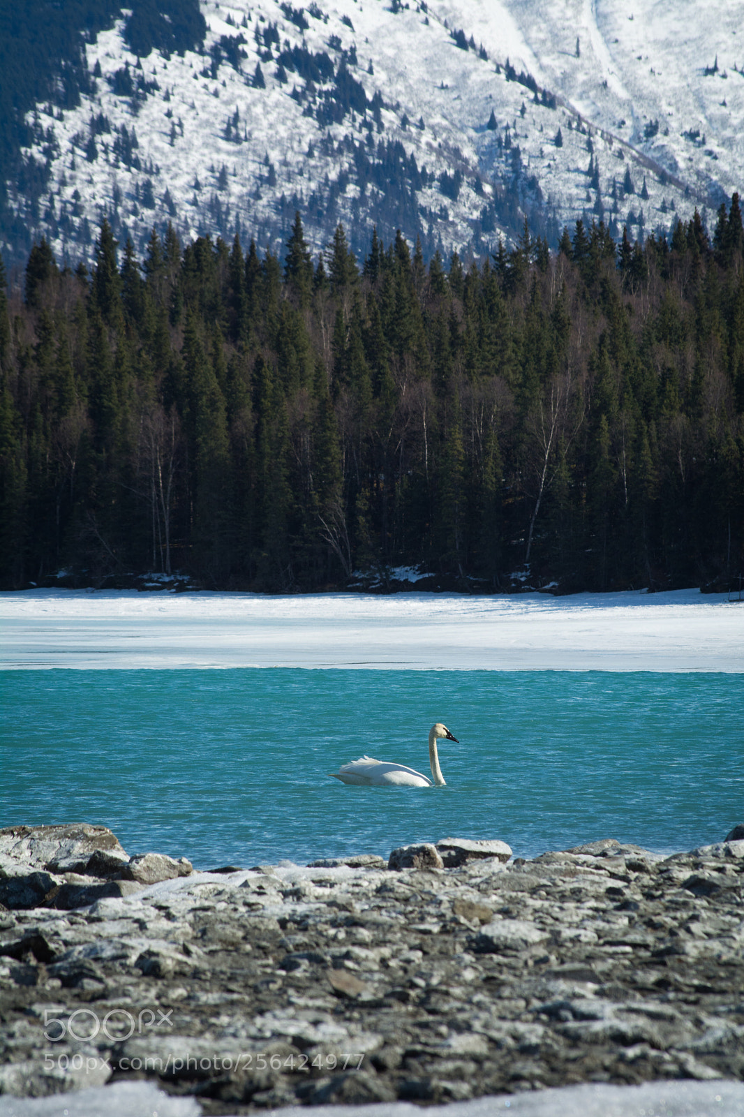 Nikon D5200 sample photo. Untitled photography