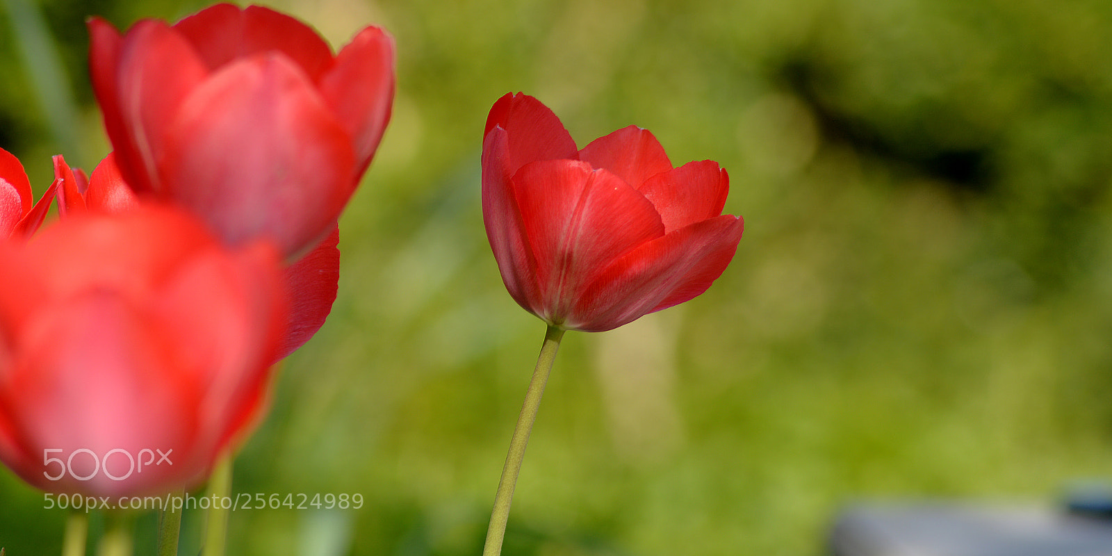 Nikon D610 sample photo. Ombre et lumière. photography