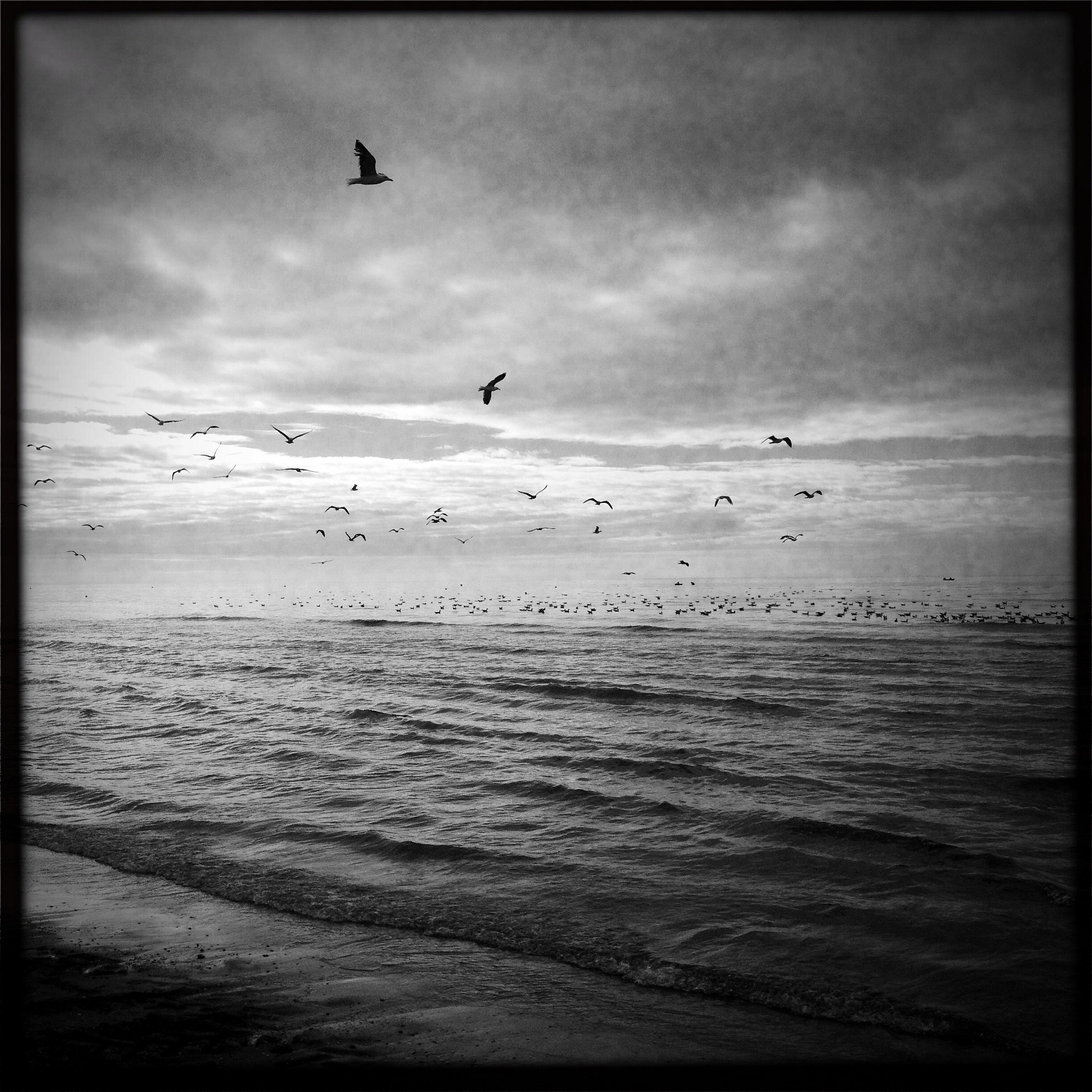 Hipstamatic 277 sample photo. Nubes. mar.  photography