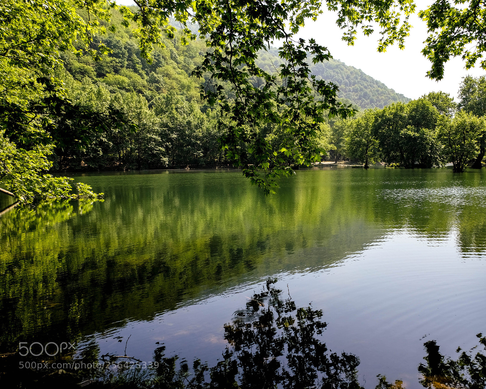 Fujifilm X-T20 sample photo. Untitled photography