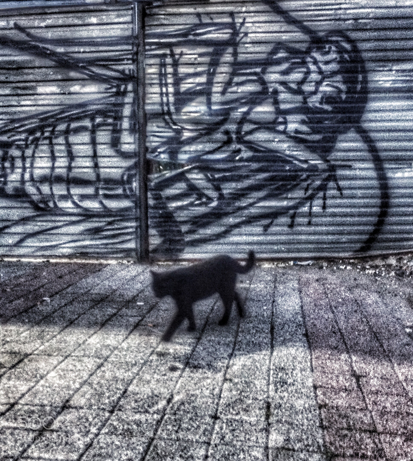 Apple iPhone 5s sample photo. Untitled photography