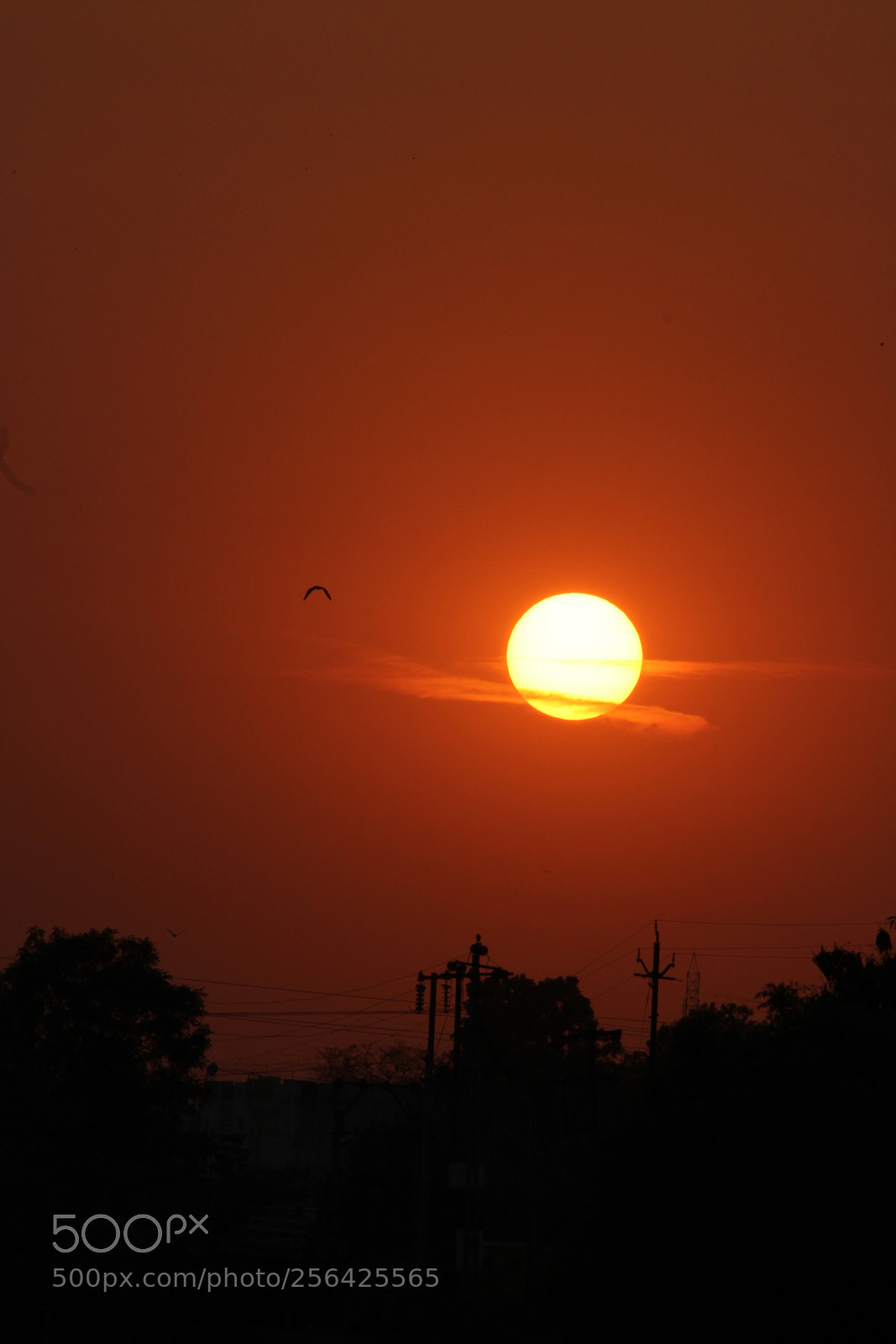 Canon EF-S 55-250mm F4-5.6 IS II sample photo. Untitled photography