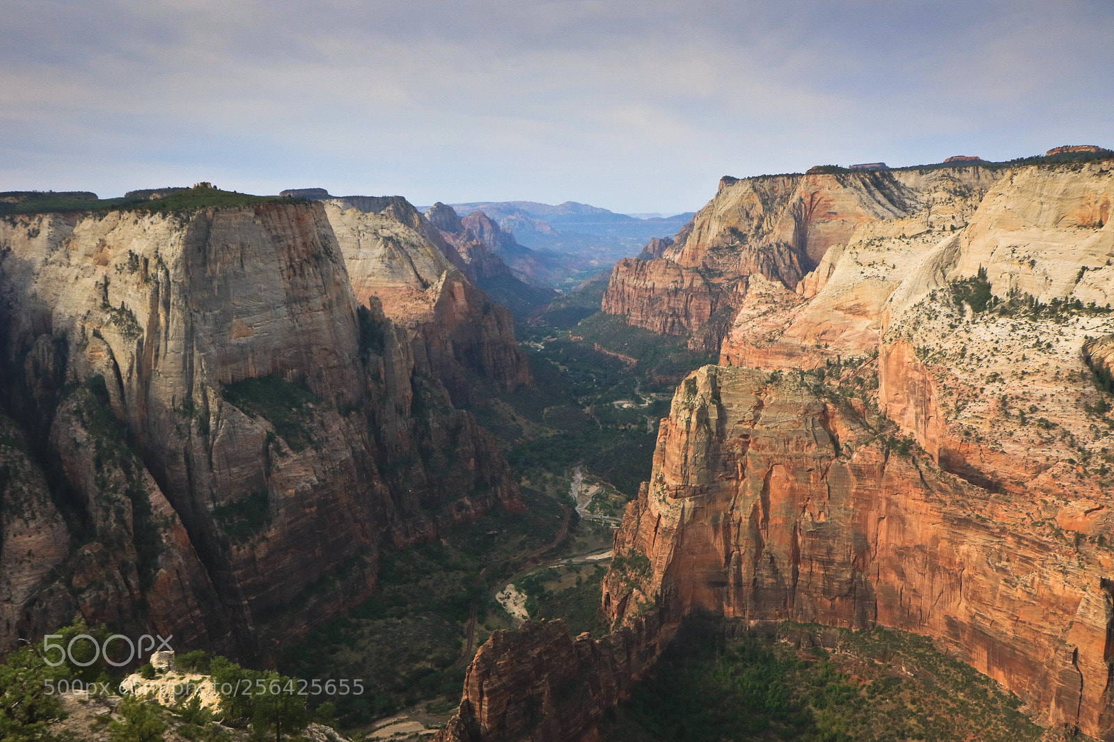 Canon EOS 7D Mark II sample photo. Observation point - zion photography