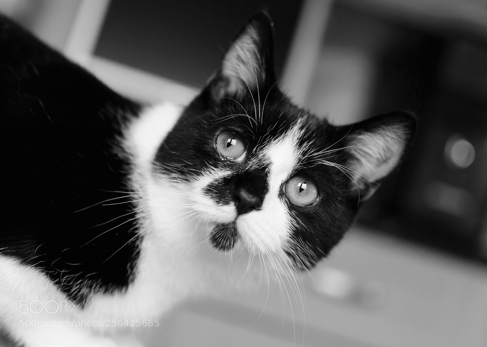 Nikon D3200 sample photo. Untitled photography