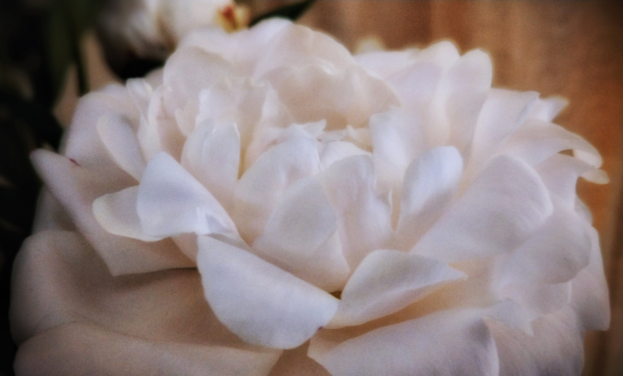 HTC U11 sample photo