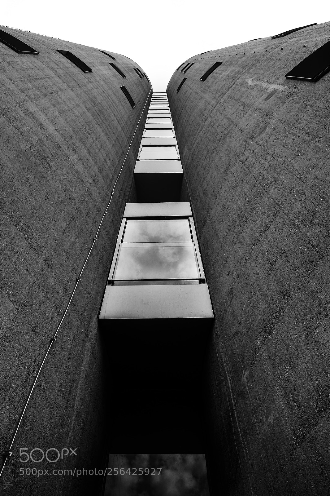Fujifilm X70 sample photo. Looking up ii photography
