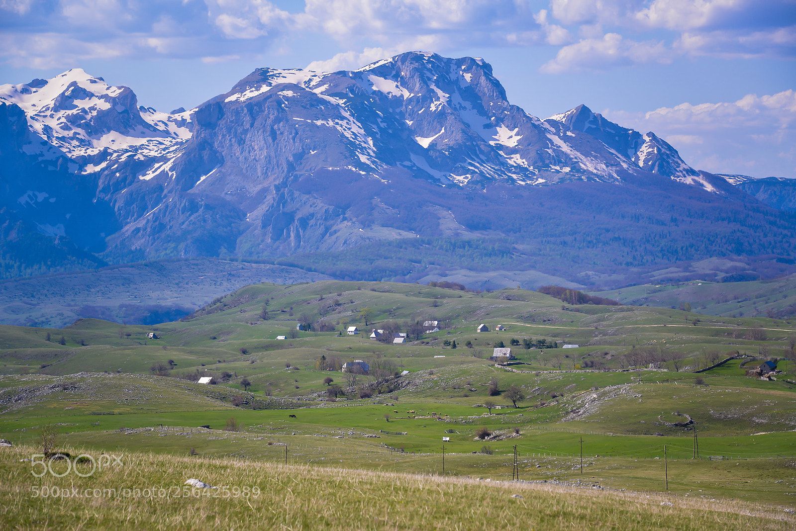 Nikon D800 sample photo. Peaks of durmitor mtn. photography
