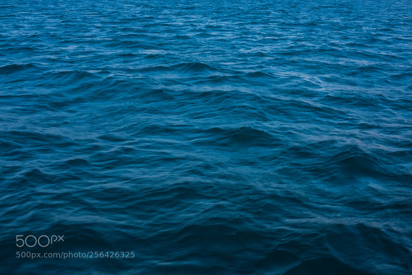 Fujifilm X-T2 sample photo. Deep blue photography