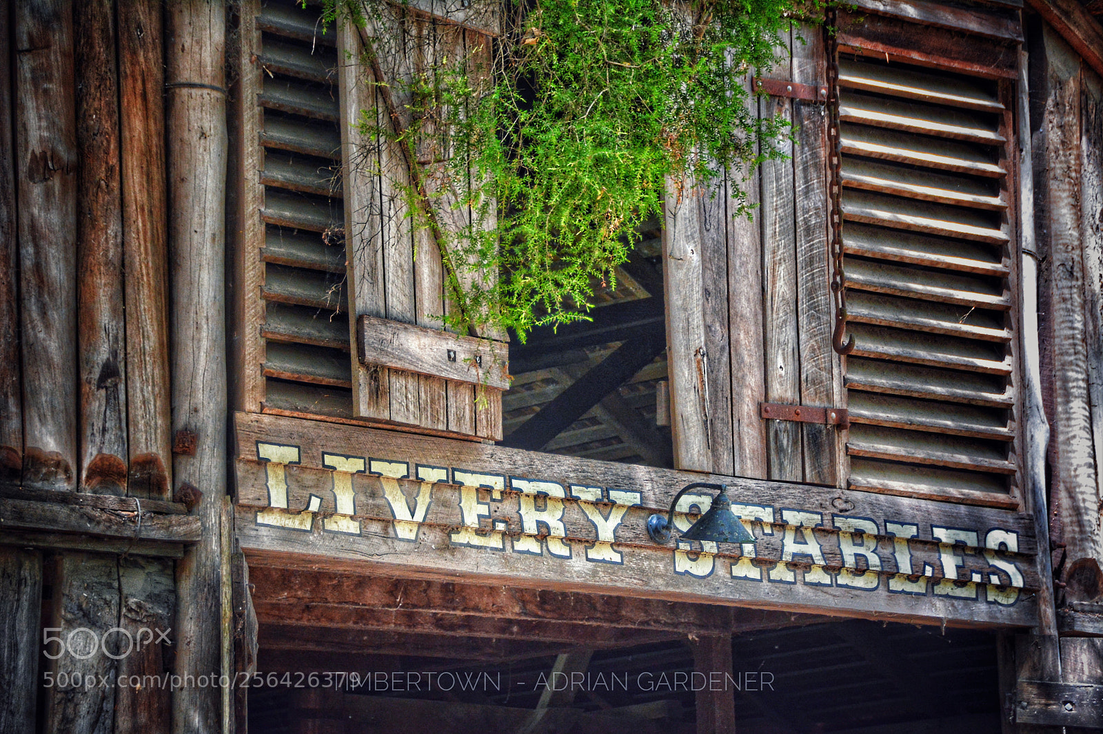 Nikon D7100 sample photo. Timbertown photography