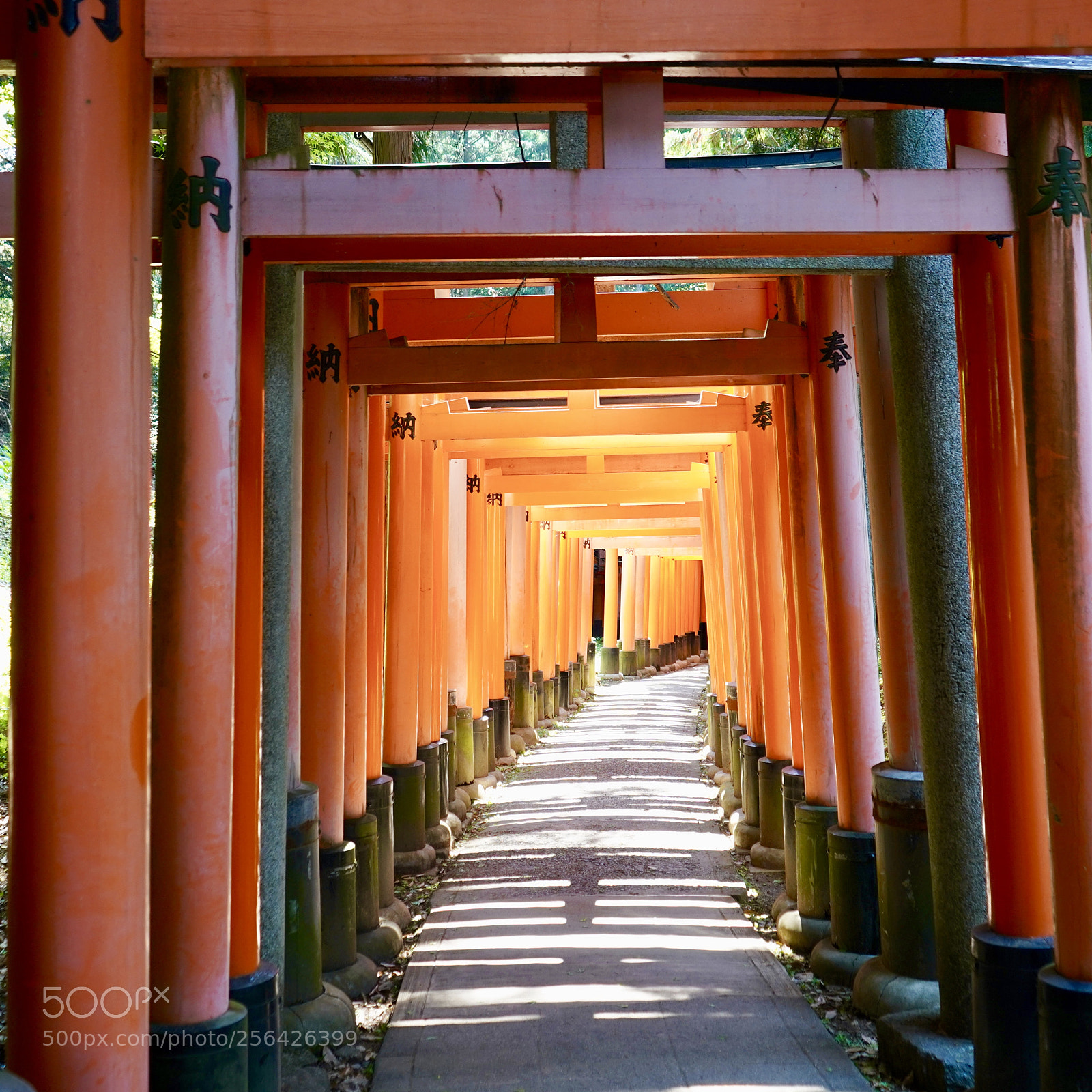 Sony a7 III sample photo. Senbon torii photography