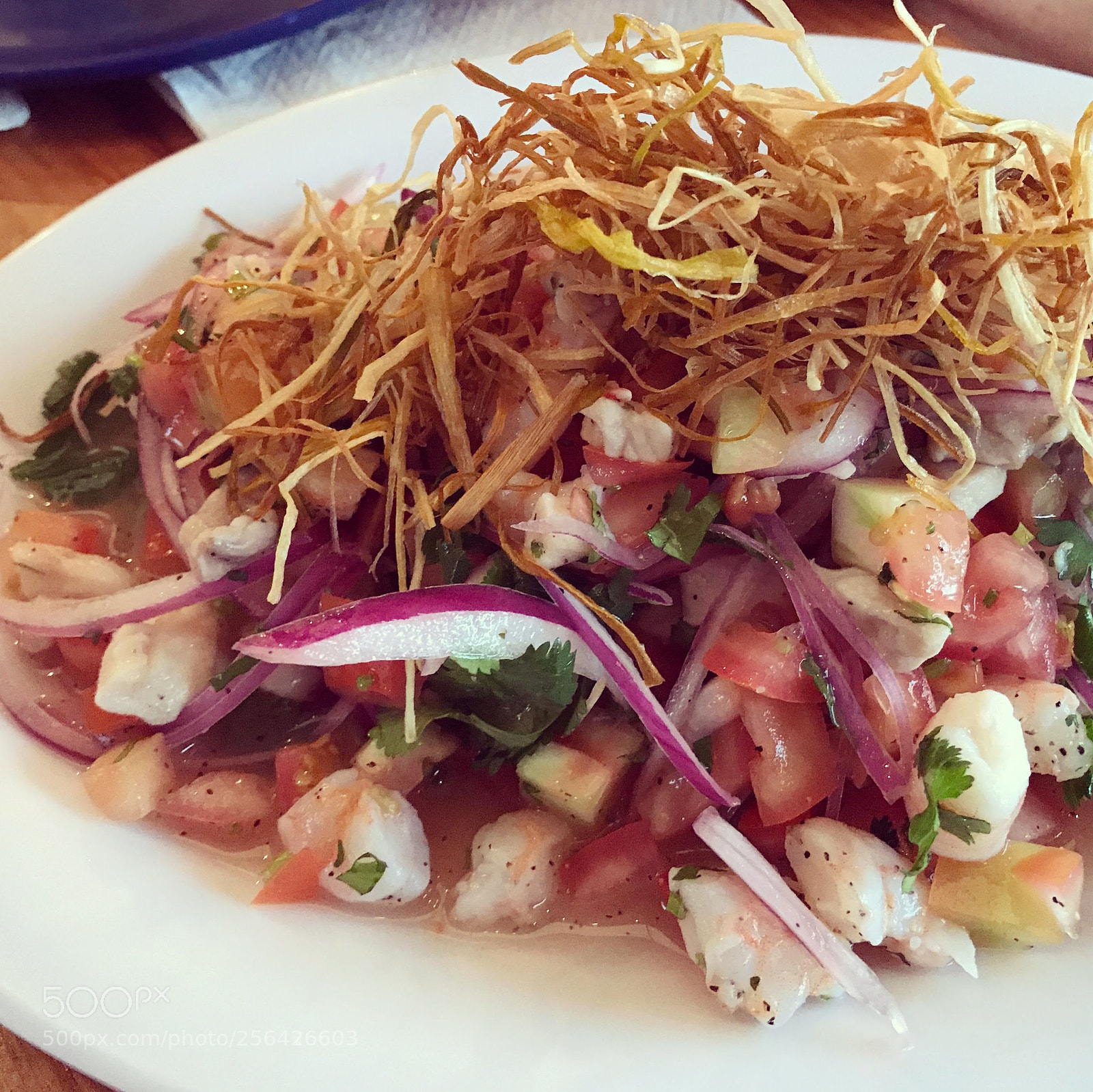 Apple iPhone 7 Plus sample photo. Ceviche photography