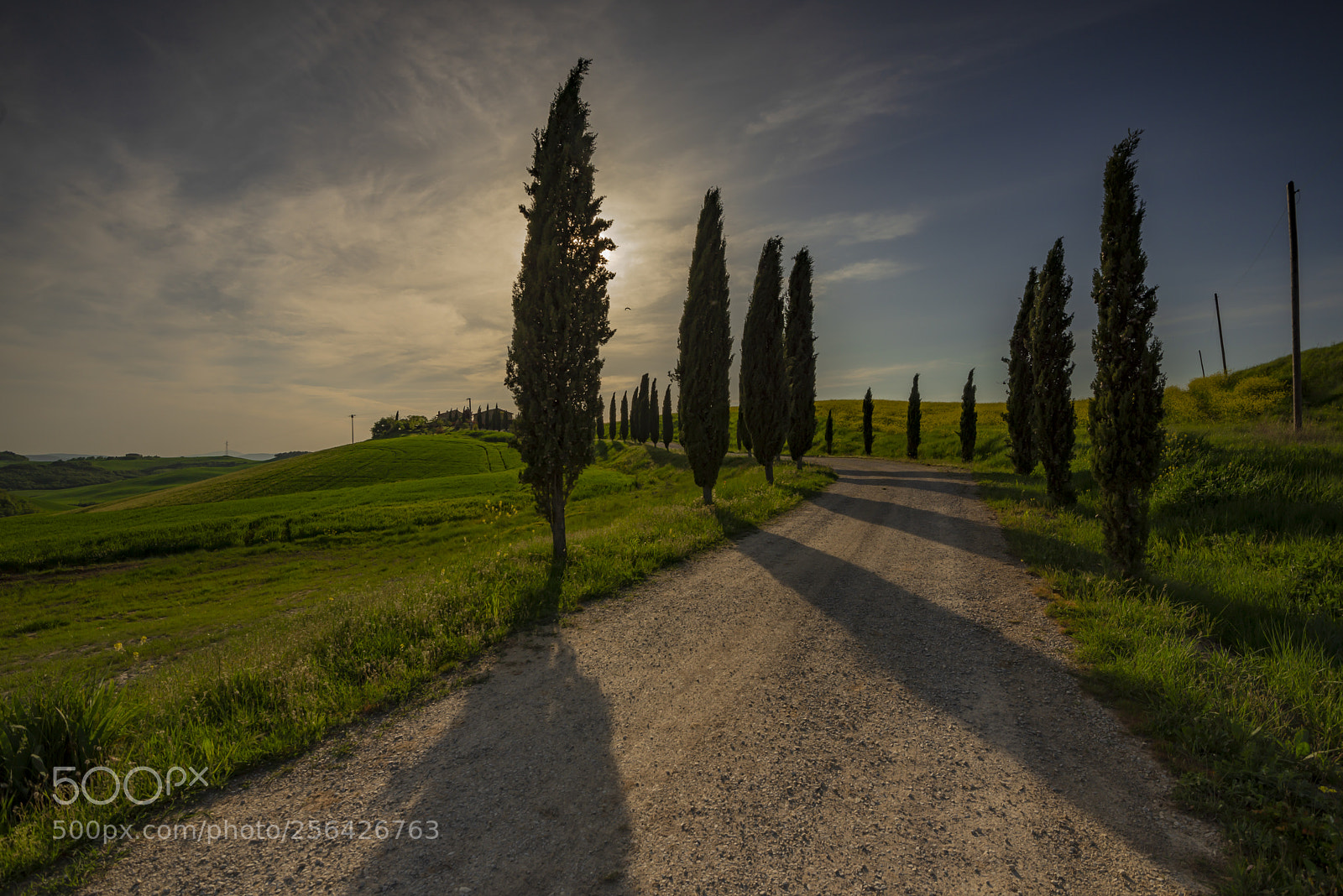 Nikon D750 sample photo. Composition of art photography