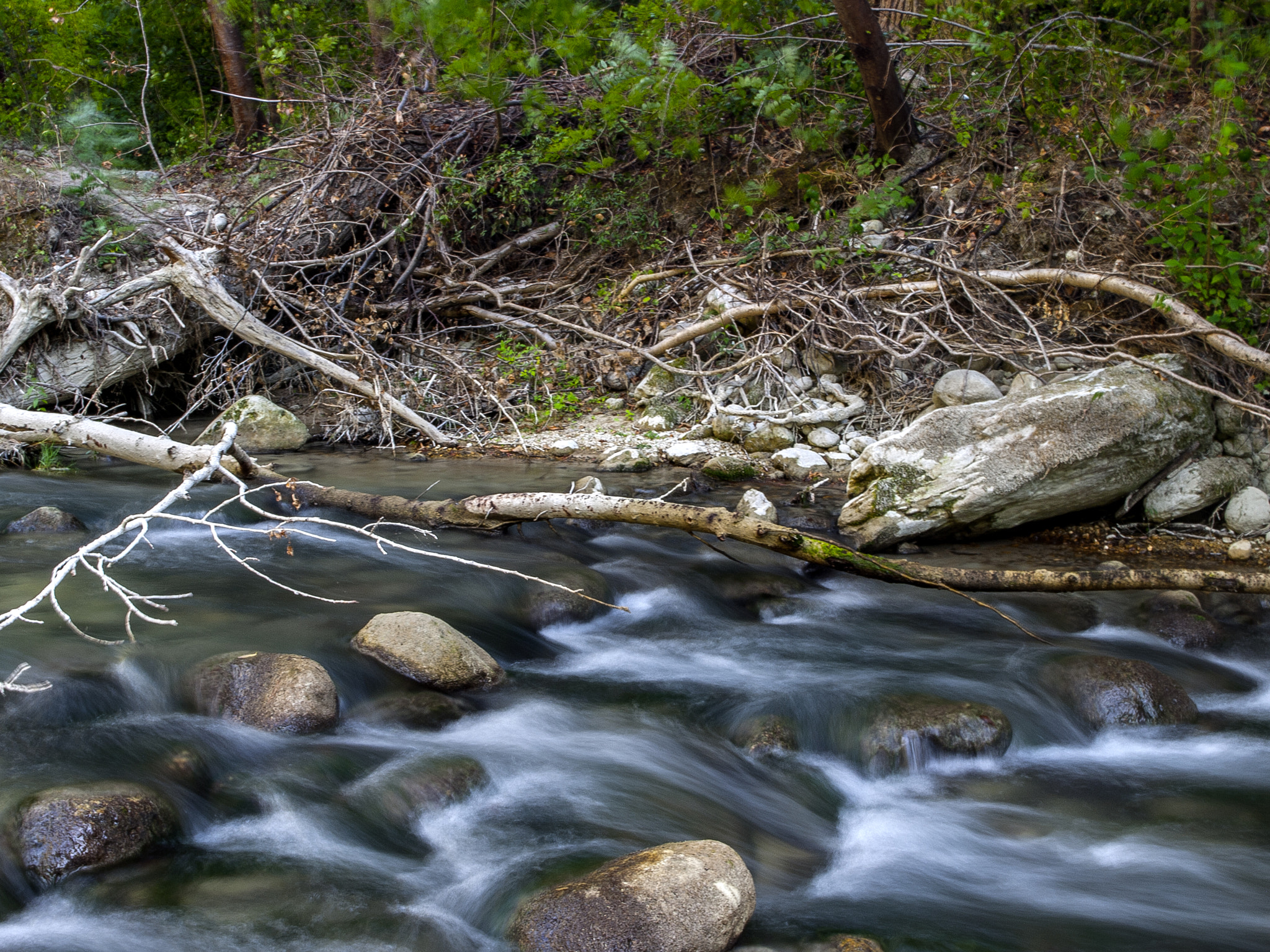 Olympus E-450 (EVOLT E-450) sample photo. Flow photography