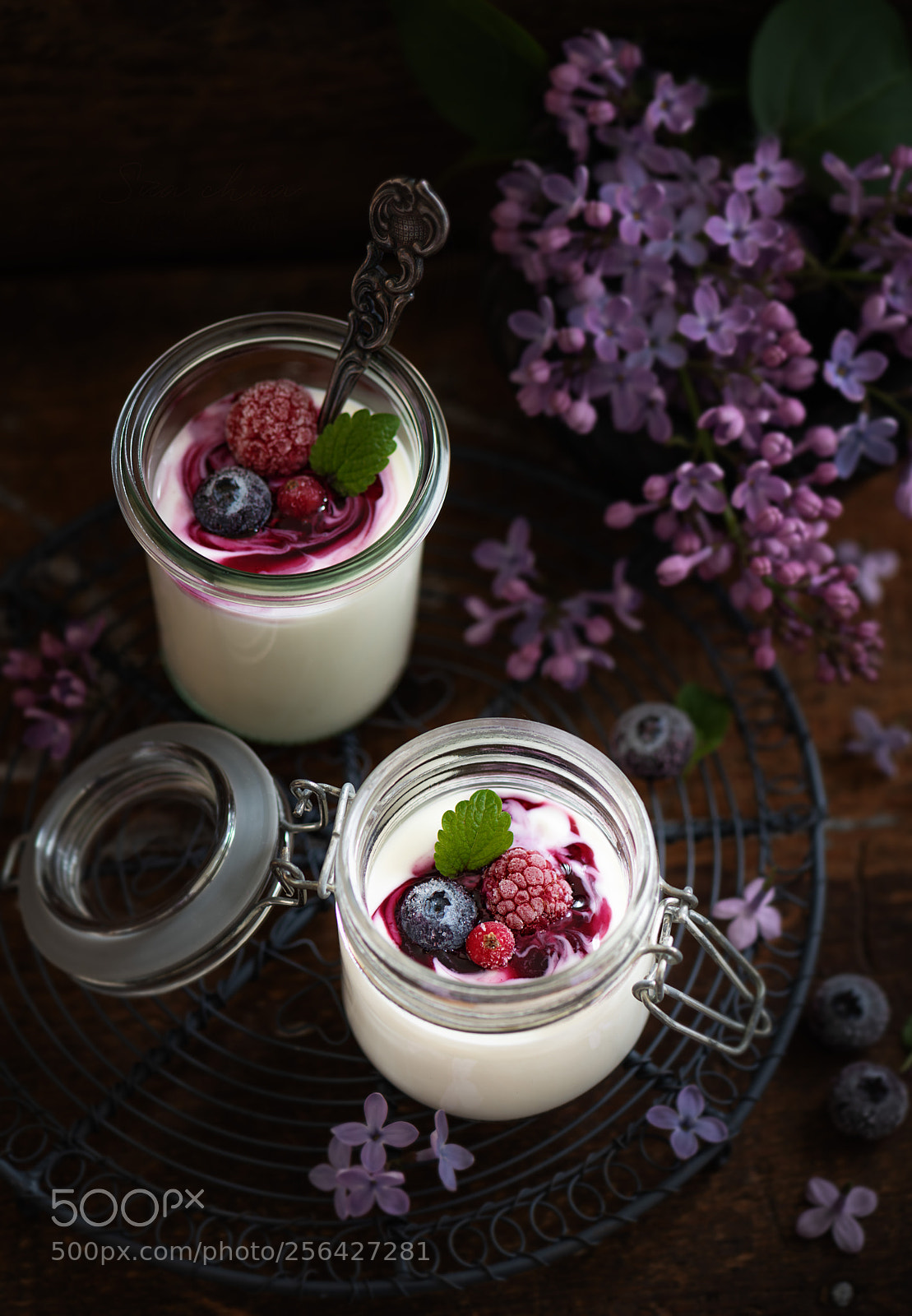 Nikon D850 sample photo. Blaubeeren joghurt. photography